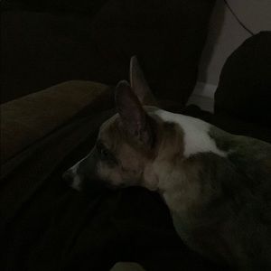 Meet your Posher, Massiel